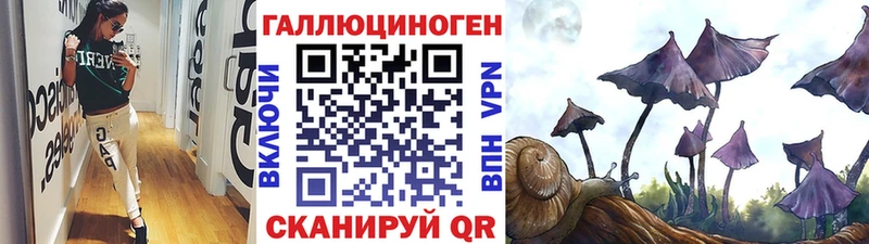 купить закладку  omg tor  Псилоцибиновые грибы Cubensis  Кинешма 
